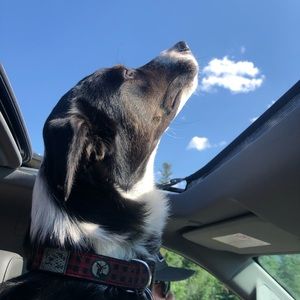 Meet your Posher, Andrea